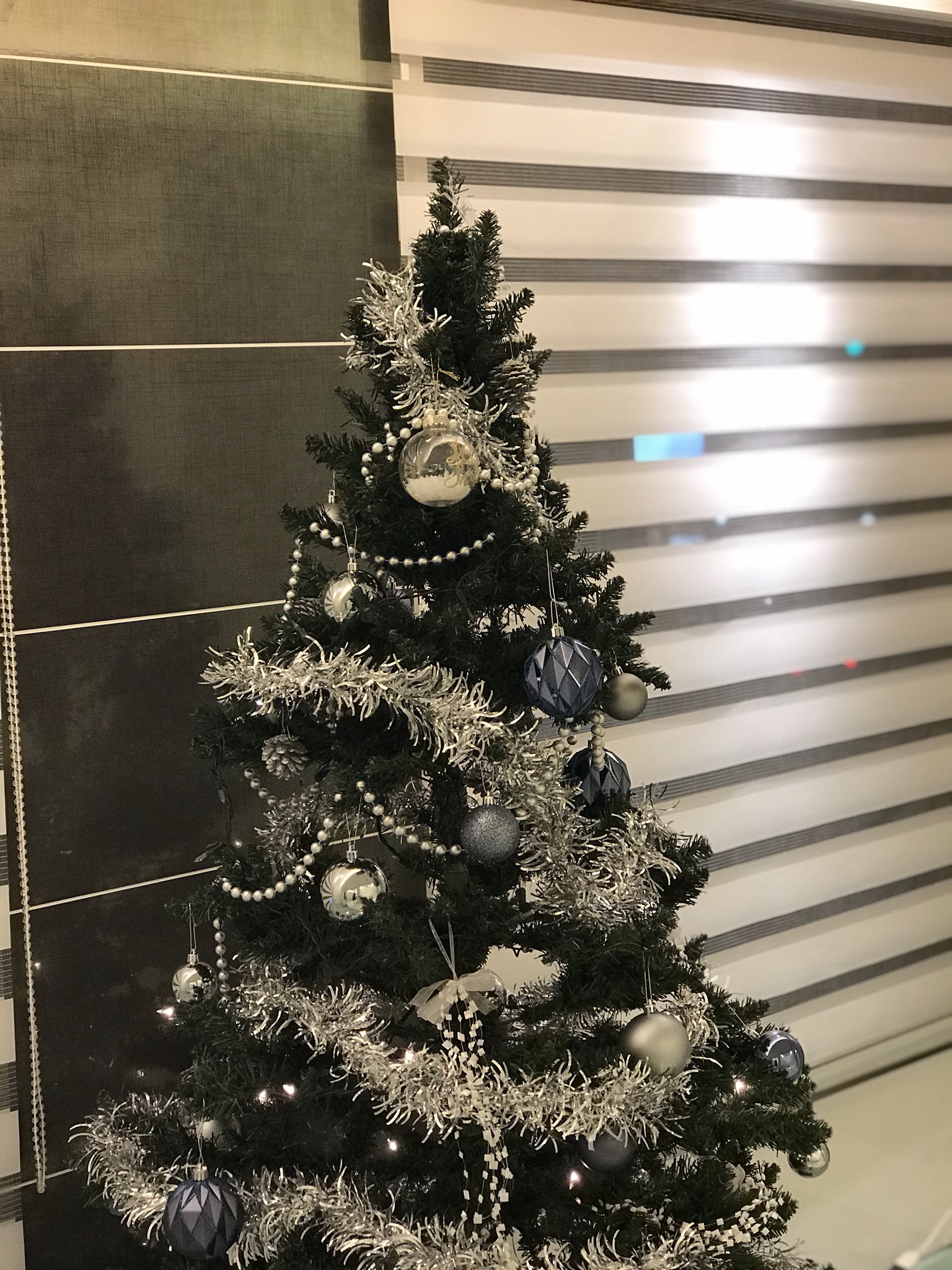 タニオ歯科のクリスマス🎄