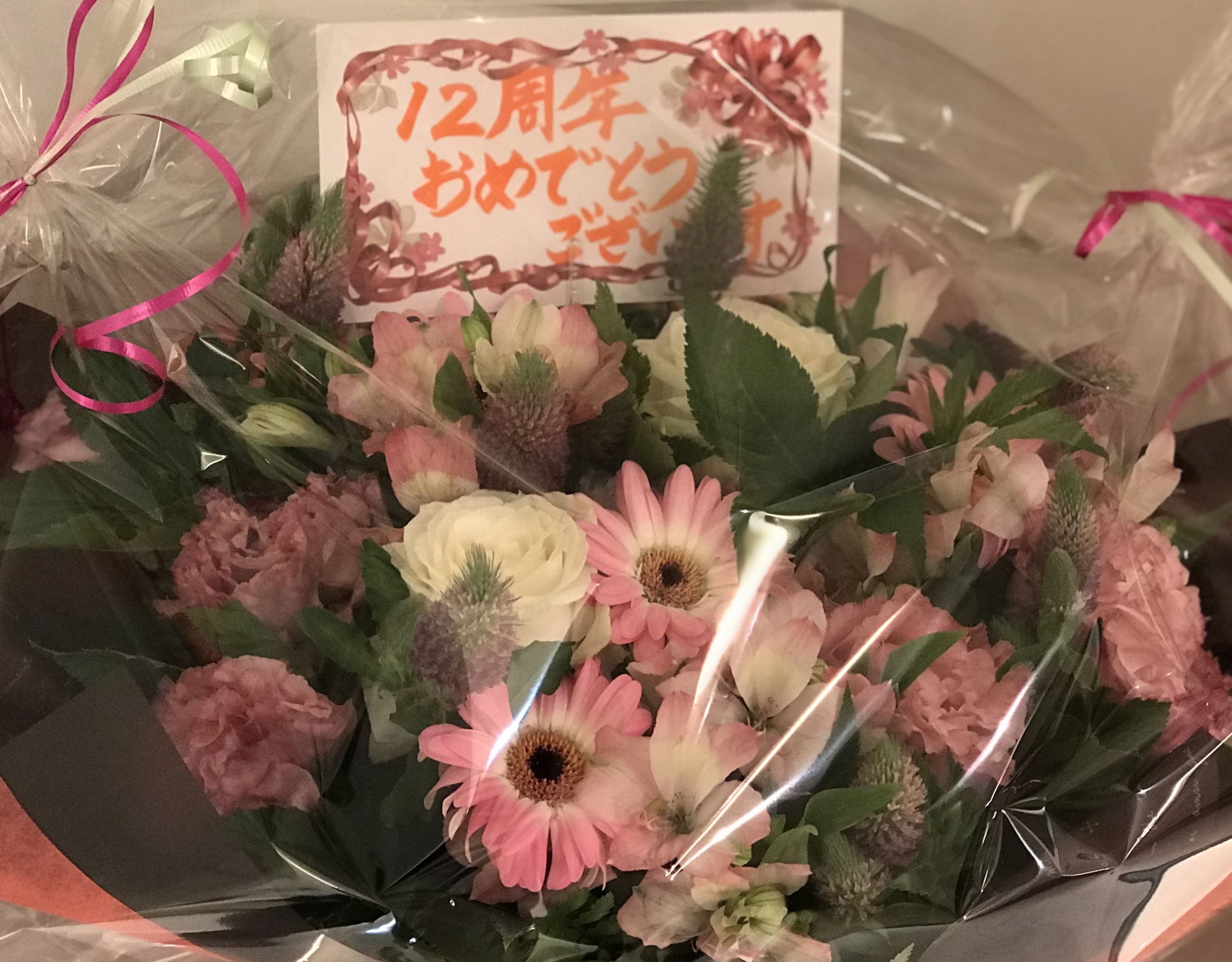 タニオ歯科12周年㊗️